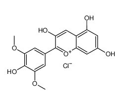 Malvidin chloride