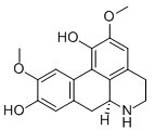 Norisoboldine