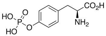 O-Phospho-L-tyrosine O-Phospho-L-tyrosine