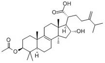 Pachymic acid