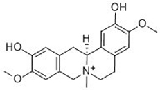 Phellodendrine