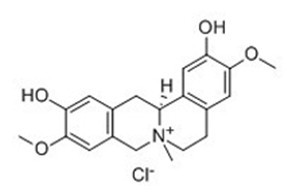 Phellodendrine chloride