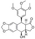 Podophyllotoxin