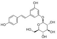 Polydatin