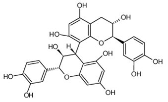 Procyanidin B3