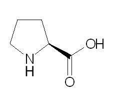 Proline