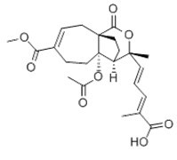 Pseudolaric Acid B