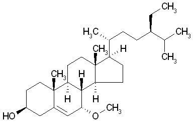 Schleicheol 2