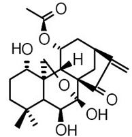 Taibaihenryiins A
