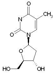 Thymidine