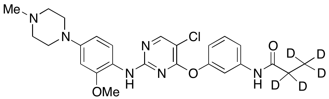 WZ4003-d5