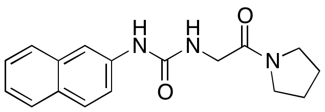 XY1