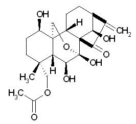 Xerophilusin G