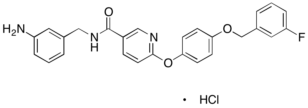 YM 2447690