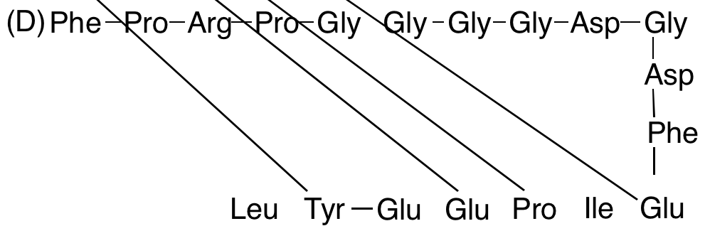 des-(Glu13)-Bivalirudin